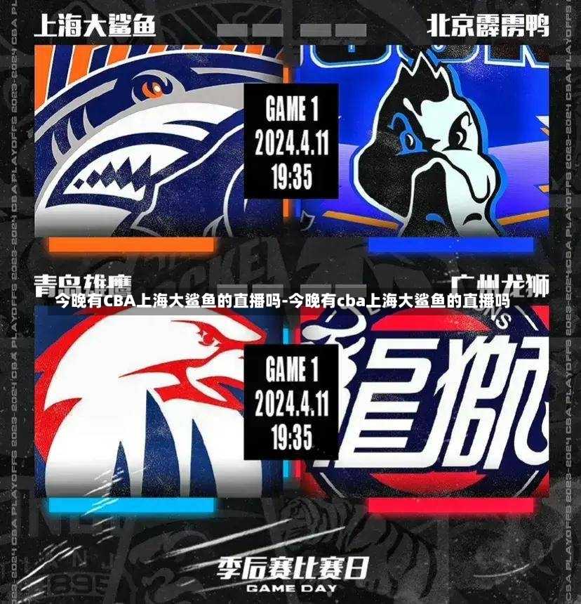 每个球员都