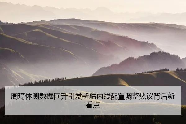 周琦体测数据回升引发新疆内线配置调整热议背后新看点